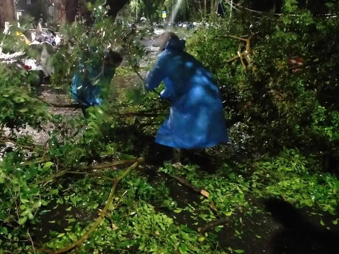 台风过境后的湛江