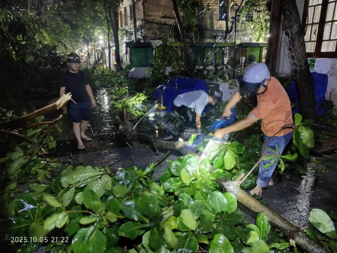 台风过境后的湛江
