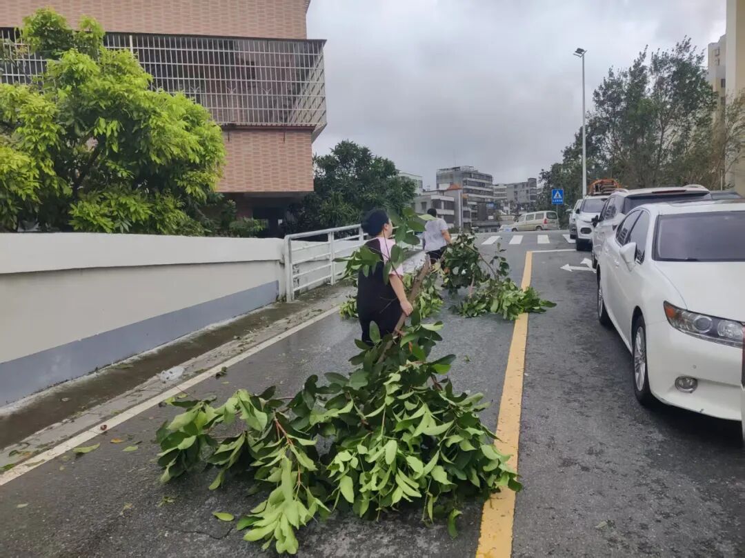 台风过境后的湛江