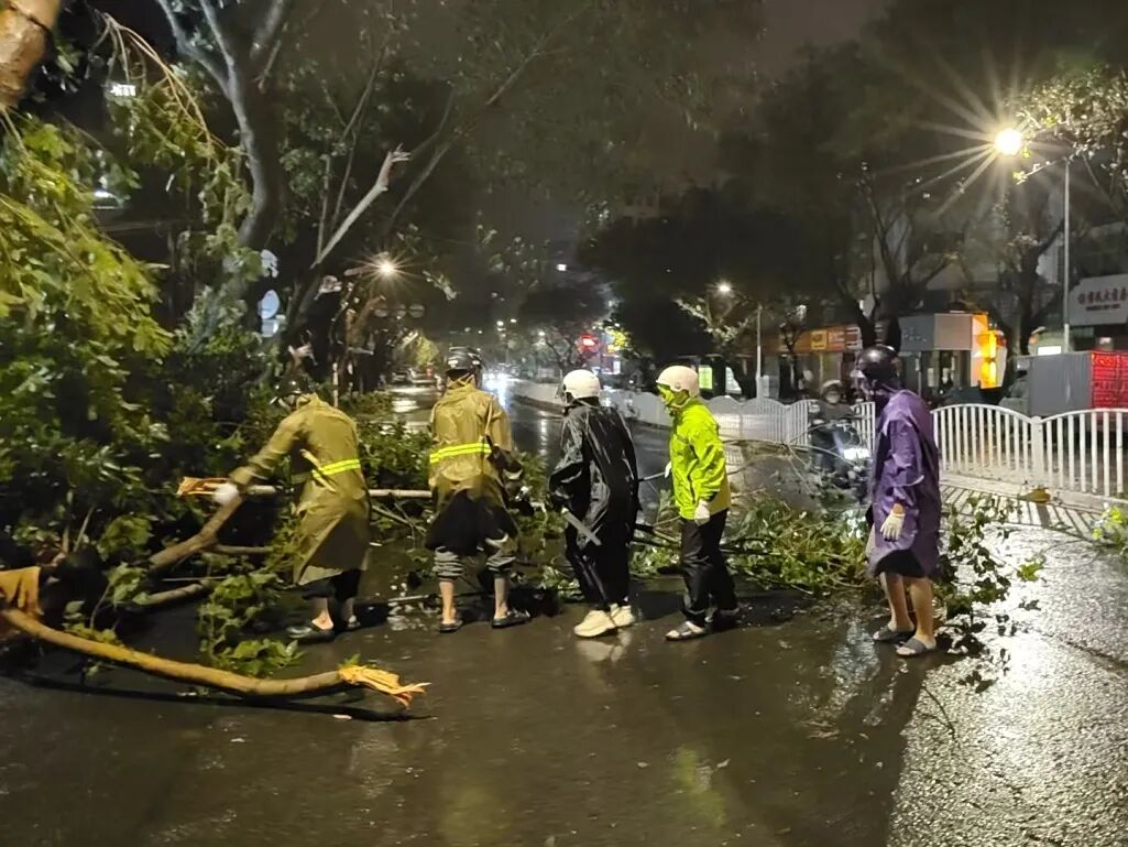 台风过境后的湛江