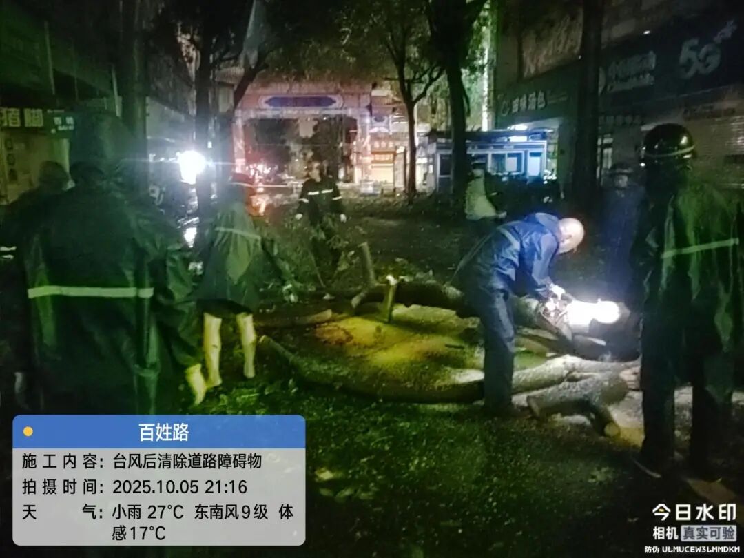 台风过境后的湛江