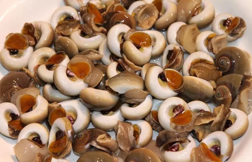 涨姿势厦门海鲜大全之二各种美味螺