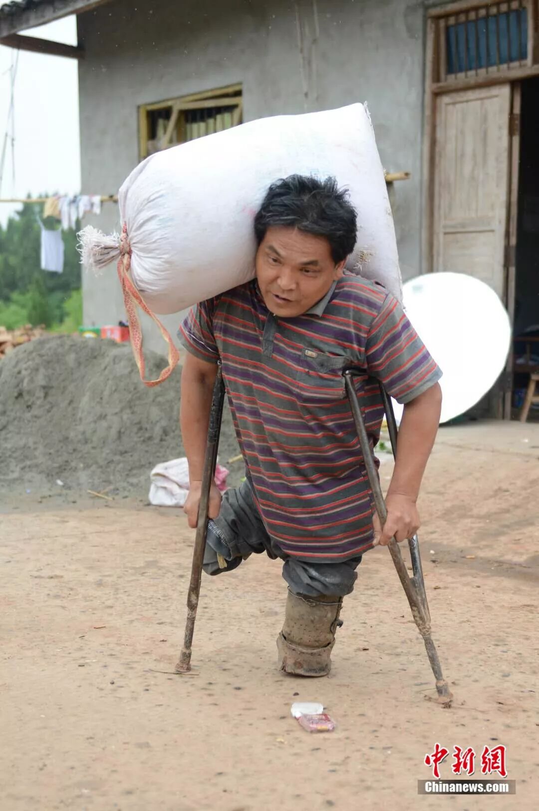 无腿硬汉成了致富带头人