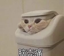 那么难的GRE单词，到底要怎么背？(内含超值福利)