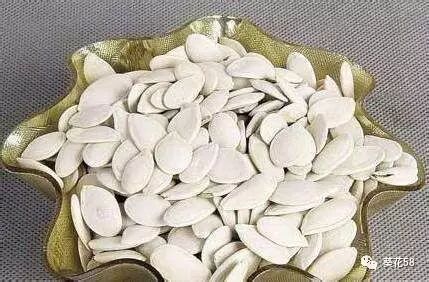 向日葵葫芦长什么样_葫芦种植时间和方法_葫芦种植方位