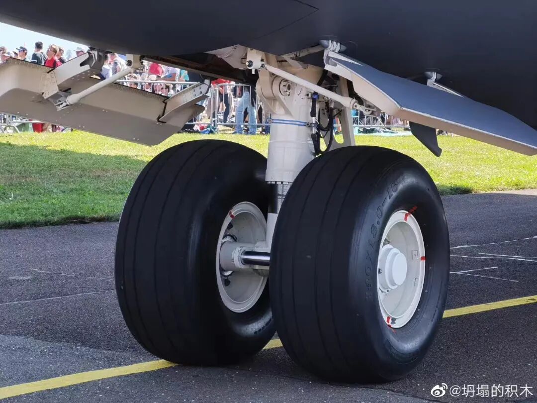 “刷屏”！這是在奧地利的運20的圖15