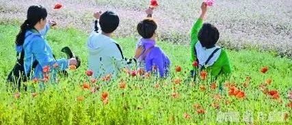 10条措施、350项活动……游新疆，正当时！