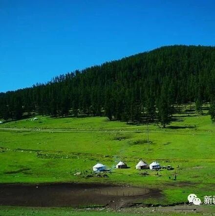 新疆多地拟入选第二批全国乡村旅游重点村名录乡村名单