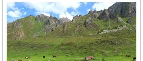 叮!四月独库最新消息