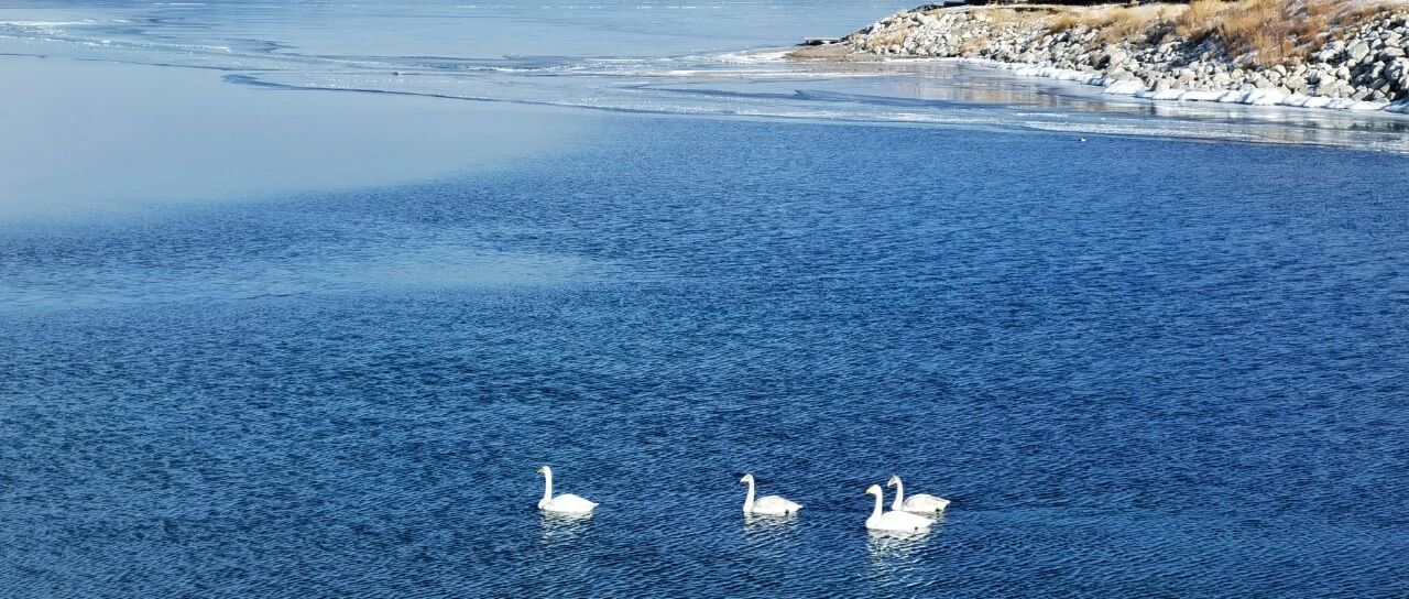 今天凌晨，0时43分！