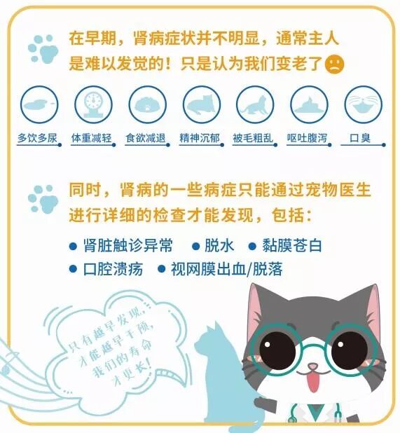 爱宠知识】肾病--猫咪的头号杀手！必看！_病症_维宠宠物导航网
