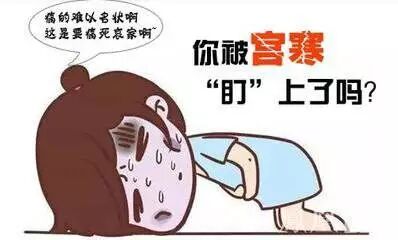 十个女人九个寒，让你的子宫不再寒冷！