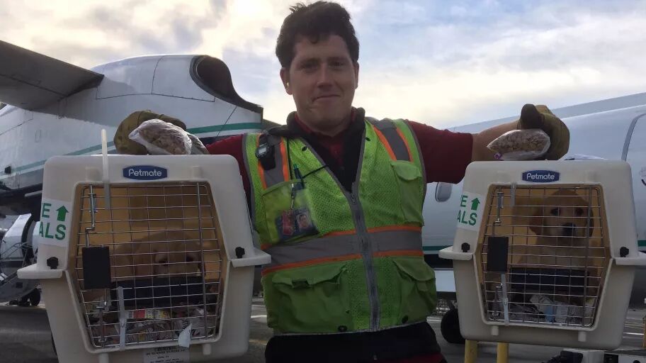 Ǹ͵ɻȥɱˣֻΪԲһ