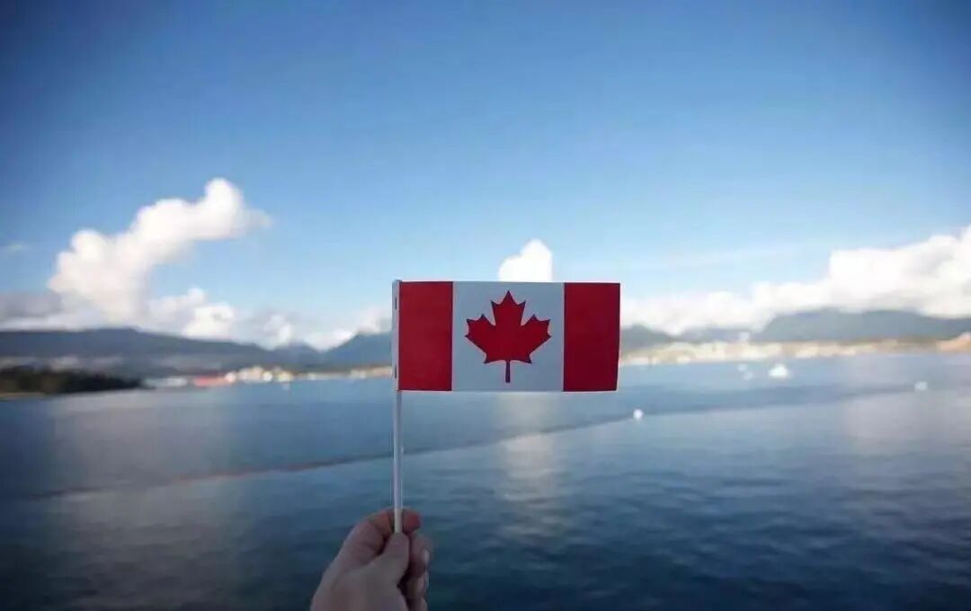 加拿大众多移民途径中，雇主担保仍然是最主流的项目！