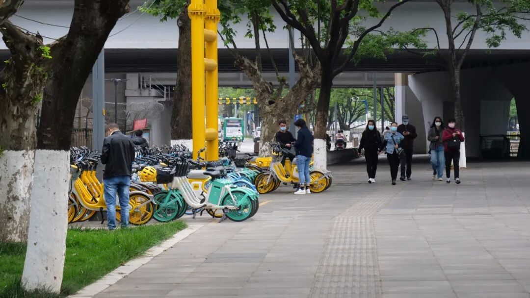 服务涵盖昆明无人机培训、昆明保安服务、昆明物业服务、昆明宠物医疗美容、昆明职业技能培训服务、昆明广告策划、昆明安防监控。