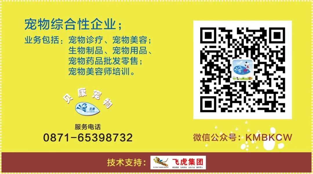 服务涵盖昆明无人机培训、昆明保安服务、昆明物业服务、昆明宠物医疗美容、昆明职业技能培训服务、昆明广告策划、昆明安防监控。