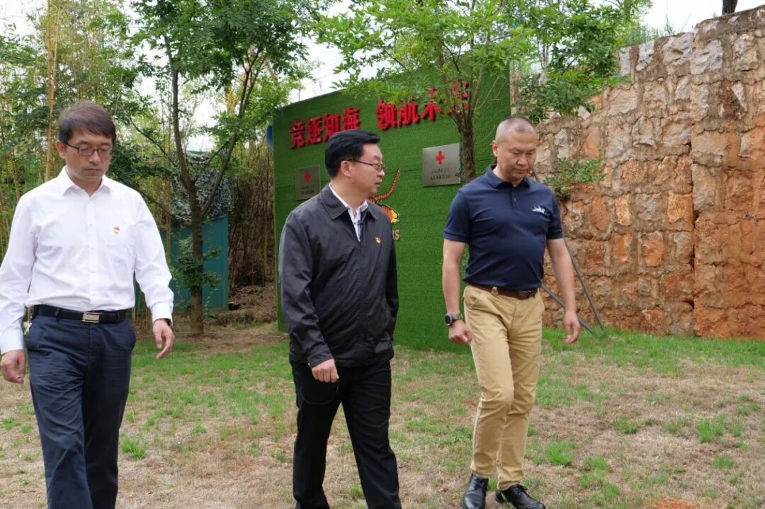 服务涵盖昆明无人机培训、昆明保安服务、昆明物业服务、昆明宠物医疗美容、昆明职业技能培训服务、昆明广告策划、昆明安防监控。