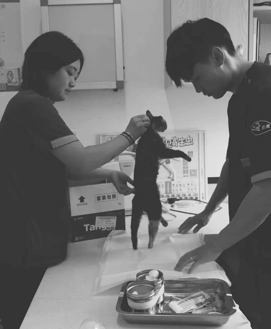 服务涵盖昆明无人机培训、昆明保安服务、昆明物业服务、昆明宠物医疗美容、昆明职业技能培训服务、昆明广告策划、昆明安防监控。