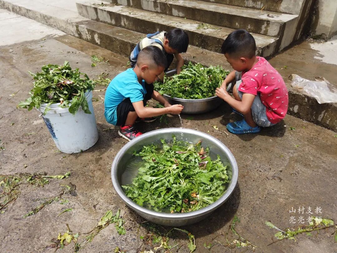 老师，放假了我们要去挖蒲公英