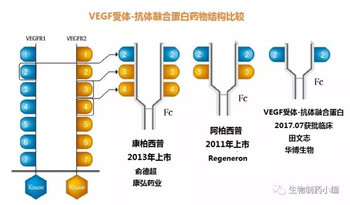 康弘药业朗沐国际化布局继续推进 生物制药小编 微信公众号文章阅读 Wemp