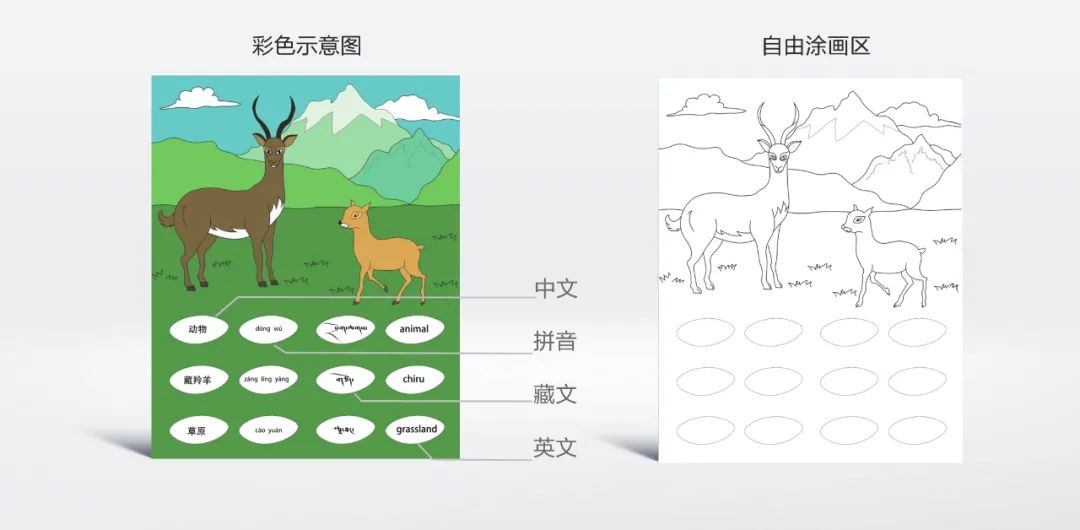 印刷儿童画册_东莞长安画册印刷_企业画册印刷