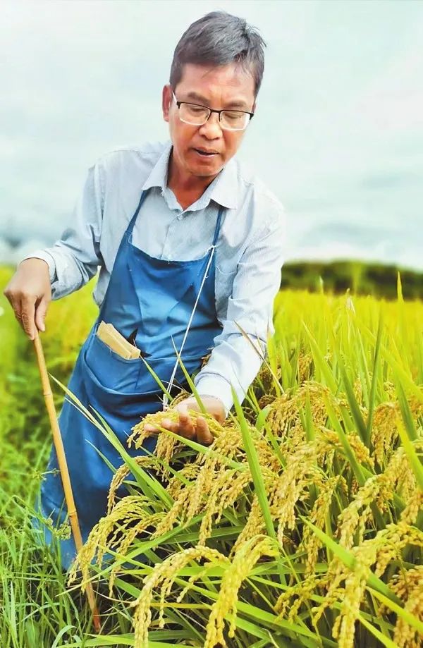 365bet网球_365bet官方网站下载_菠菜365全力构建人才政策体系为高质量发展集聚更多优秀人才 图片