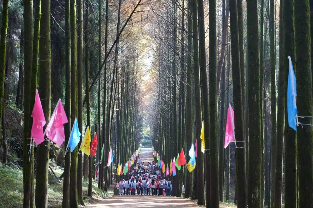 跳出课本进森林！苍溪让教育融于自然
