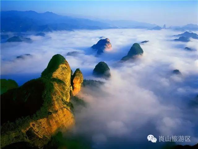 上海到重庆飞机全价票_上海到重庆飞机票价是多少_上海到重庆飞机票价