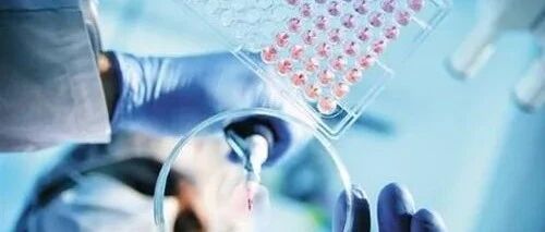 微小残留是疾病复发根源，反映出4点白血病患者不可轻视！