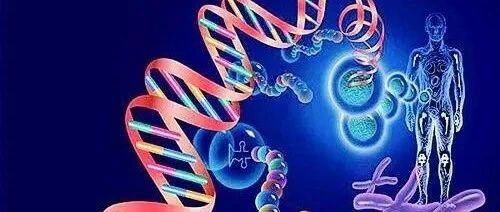 “慢粒”早期临床征兆需警惕！