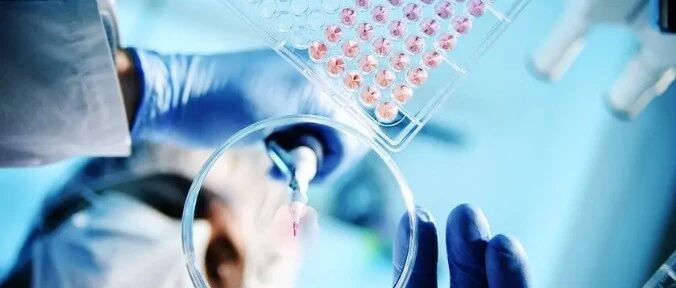 白血病骨髓象是怎样的？一分钟学会看骨髓象