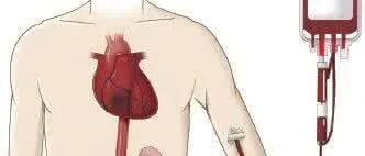 血小板减少什么原因导致的？又该如何预防？