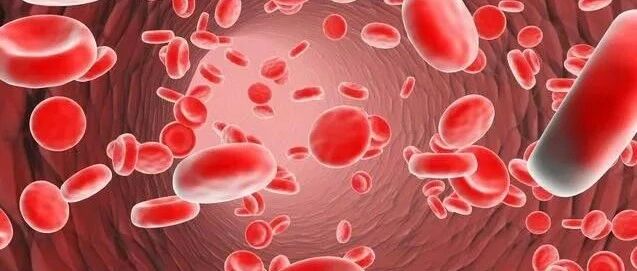 如何避免血小板减少症复发？一定要做好这几点