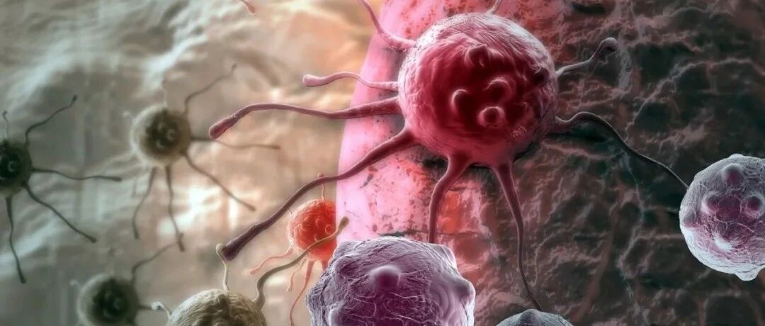 肿瘤患者出现血小板减少，不止化疗这一个原因！