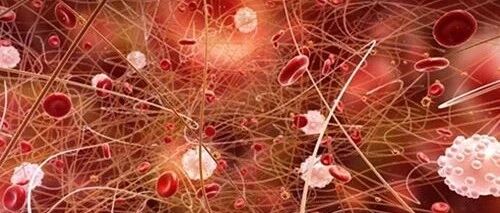 感染：血液病的“隐形炸弹”