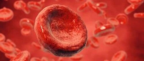 过敏性紫癜为什么儿童频发？专家说有这三个致病因素