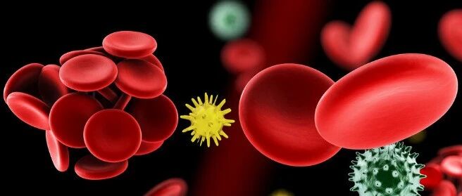 如何做好血小板减少症患者的护理，防止复发？