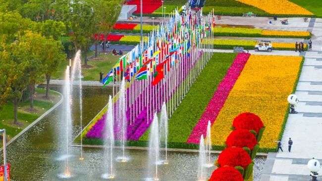 习大大为会展行业注入强心剂！号召创新展会服务模式，保障各类经贸活动正常开展