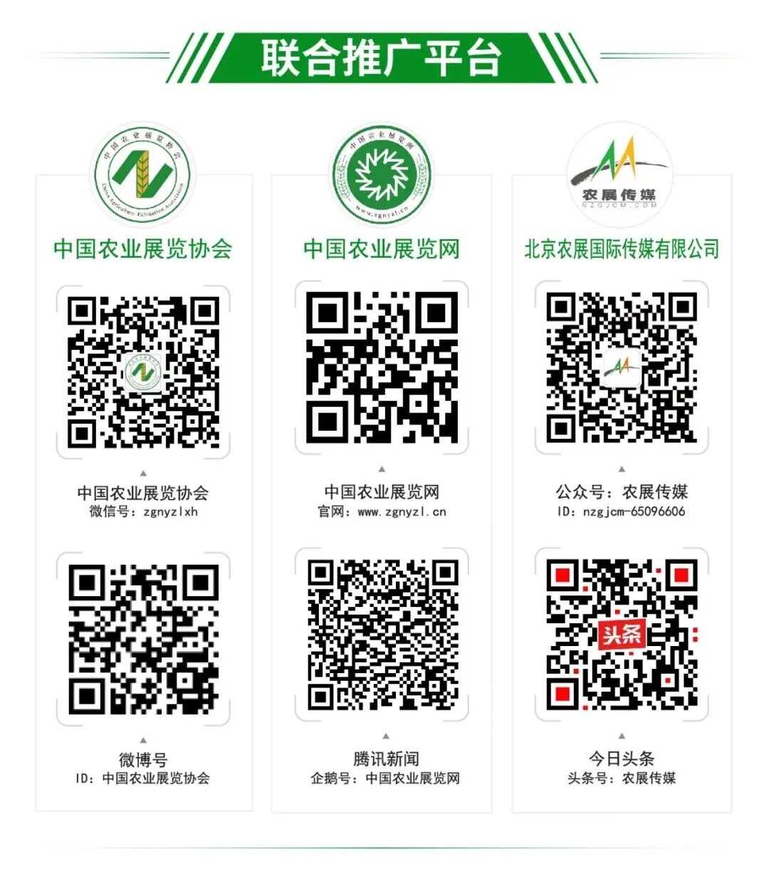 习大大为会展行业注入强心剂！号召创新展会服务模式，保障各类经贸活动正常开展