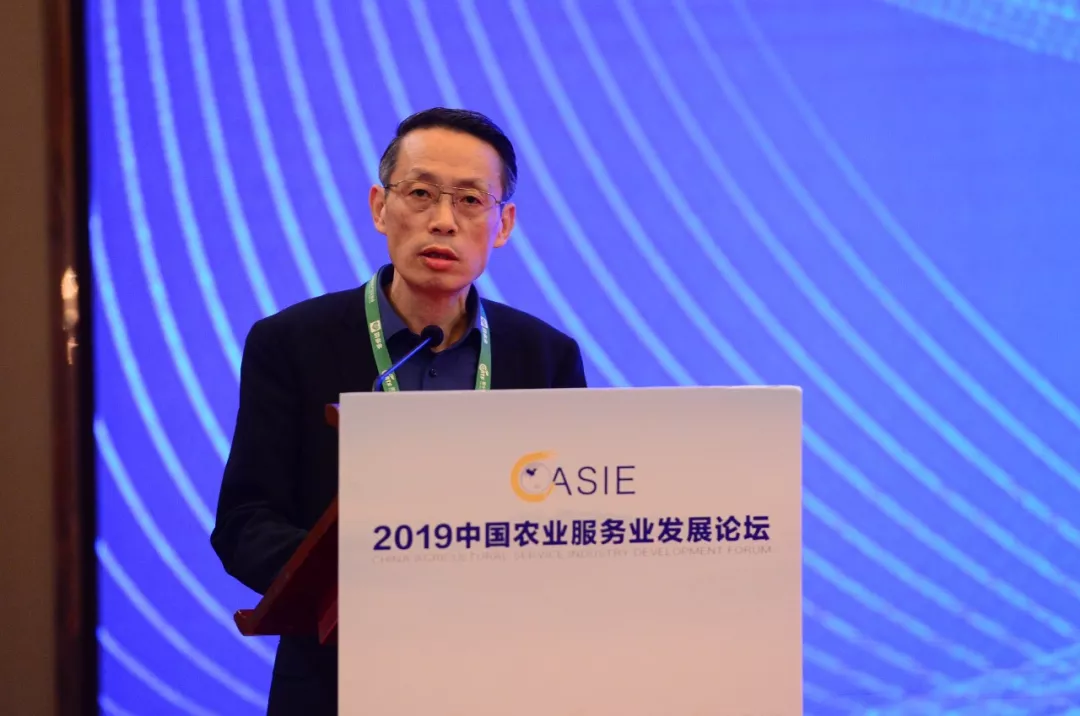 2019年中国农业服务业发展论坛成功举办 2019年中国农业服务业发展论坛成功举办