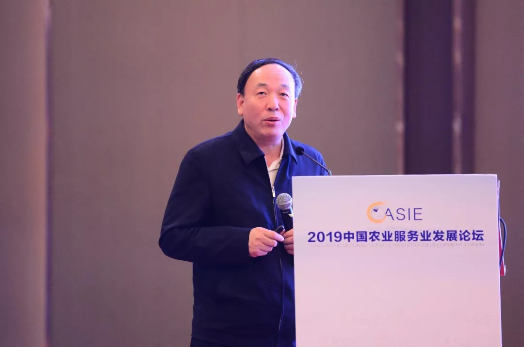 2019年中国农业服务业发展论坛成功举办 2019年中国农业服务业发展论坛成功举办