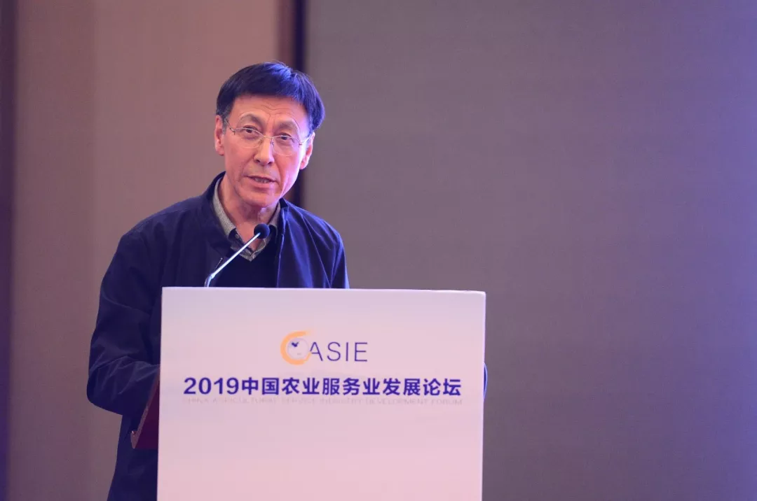 2019年中国农业服务业发展论坛成功举办 2019年中国农业服务业发展论坛成功举办