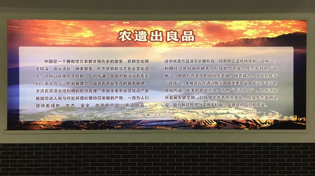 绝色亮点！农遗良品将首次集结亮相十七届农交会