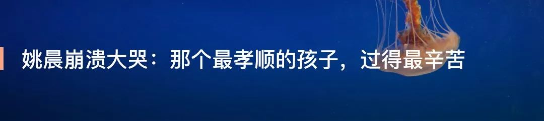 「熱鍋沒麻醬，你怎麼吃得下？！」 未分類 第40張