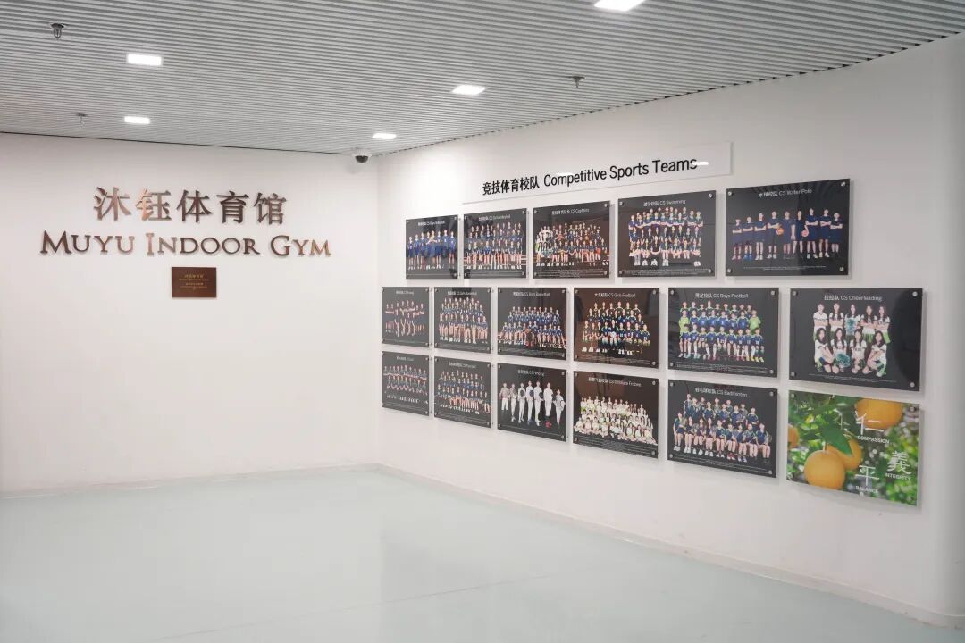 DSC05108.jpg