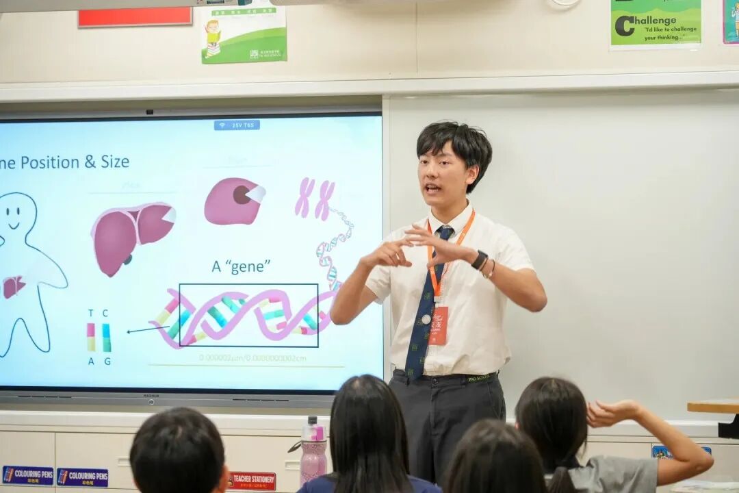 iGEM YKPS Metacove｜星期四｜小学和基因_2_iGEM MetaCove YKPS_来自小红书网页版.jpg