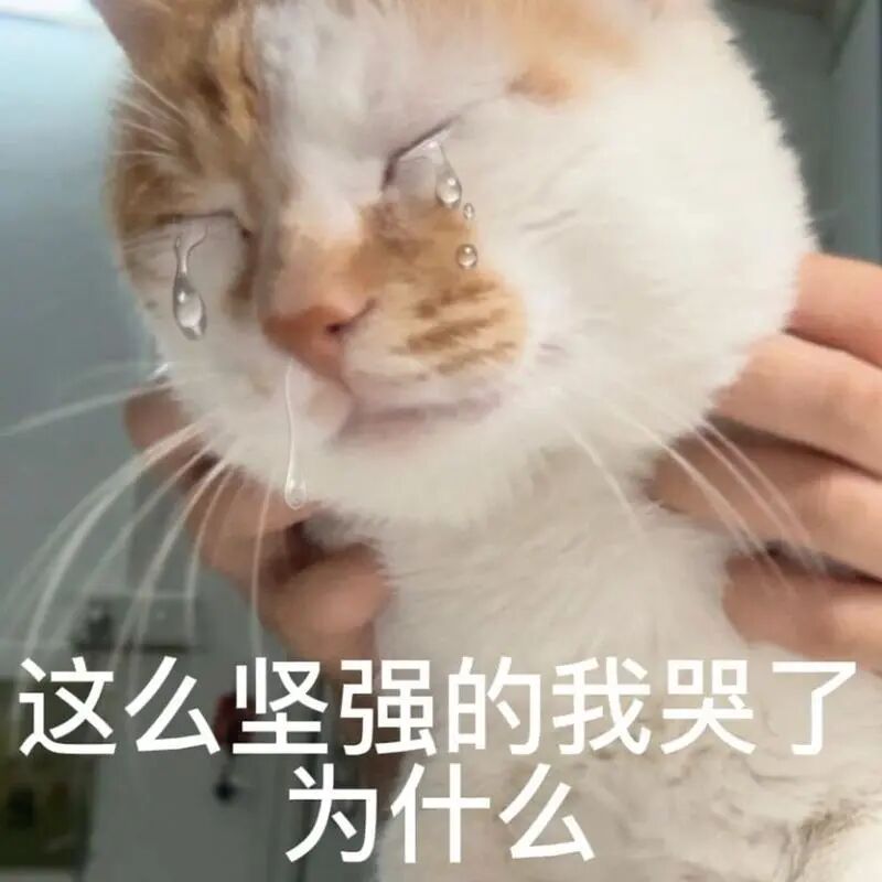 图片[9] - 小米澎湃 OS 突然增加这限制 网友直接炸了 - 易航博客