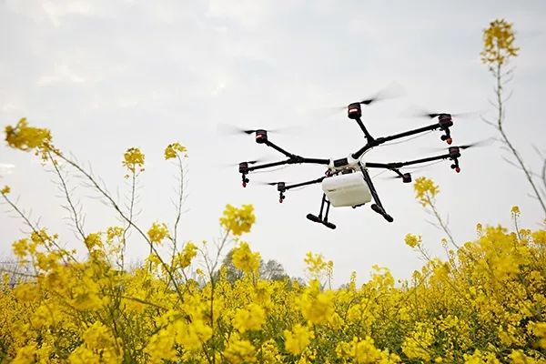 农村创业项目有哪些_农村厂家创业项目_农村创业项目大全养殖