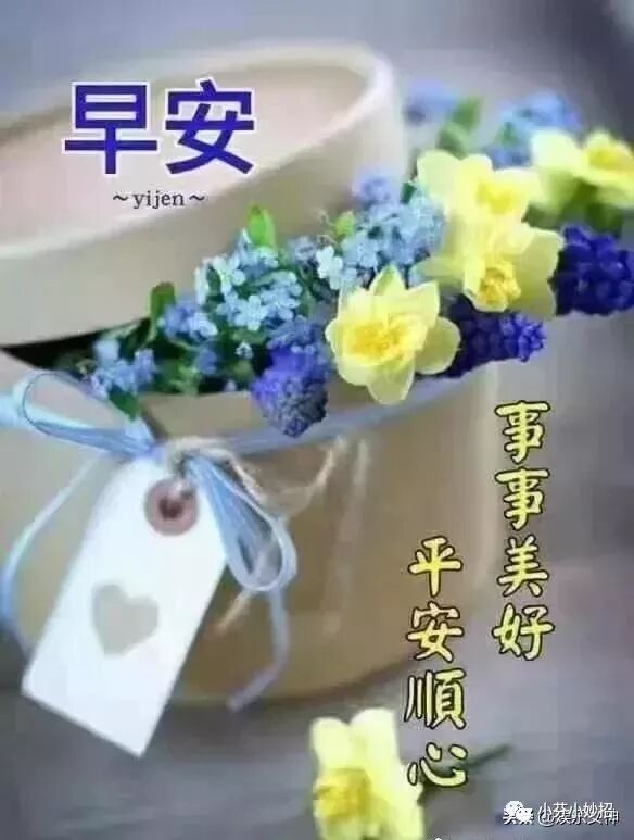 10月16日星期三早安祝福语录 早晨好短信祝福暖心问候 小芬小妙招 微信公众号文章阅读 Wemp