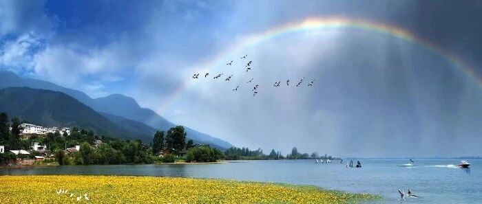 规模庞大却低质低效 困扰旅游产业的结构性问题如何解？